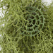 27" IFR Plastic Spanish Moss Artificial Hanging Plant -Sage Green (pack of 6) - AR102170