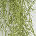 27" IFR Plastic Spanish Moss Artificial Hanging Plant -Sage Green (pack of 6) - AR102170