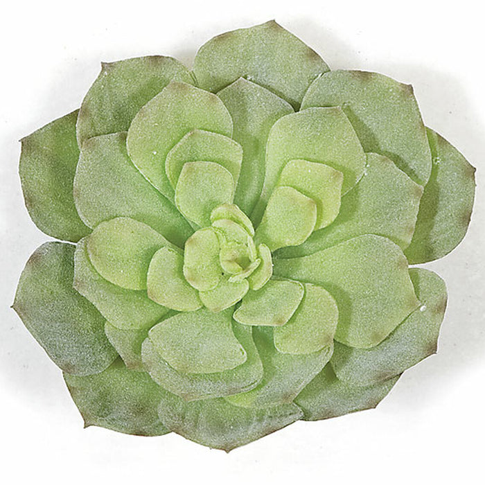 7"HX7"W IFR Artificial Echeveria Stem -Flocked Green (Pack of 12) - AR11155-0GR