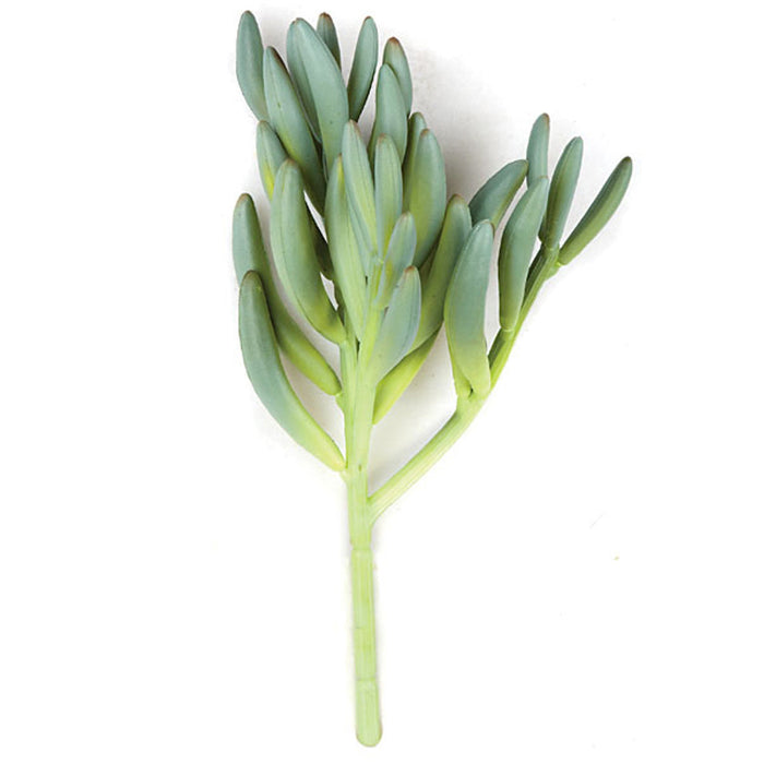 11" Soft-Touch Aeonium Artificial Stem -Green/Gray (Pack of 12) - AR-136090