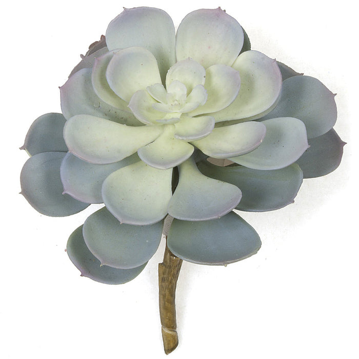 6"HX6"W Artificial Echeveria Stem -Frosted Gray/Blue (Pack of 12) - A-161070