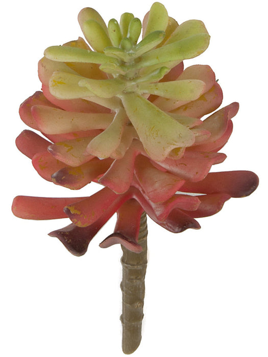6.75"HX3"W IFR Artificial Echeveria Stem Pick -Mauve/Green (Pack of 24) - AR-161410