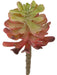 6.75"HX3"W IFR Artificial Echeveria Stem Pick -Mauve/Green (Pack of 24) - AR-161410
