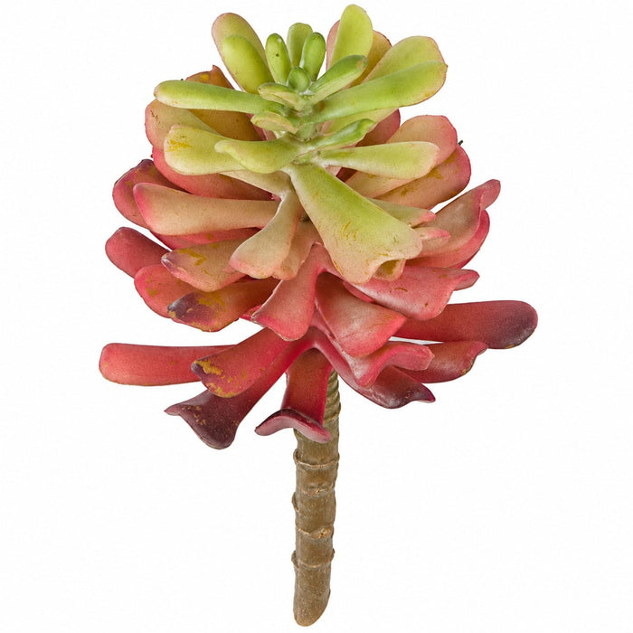 6.75"HX3"W IFR Artificial Echeveria Stem Pick -Mauve/Green (Pack of 24) - AR-161410