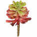 6.75"HX3"W IFR Artificial Echeveria Stem Pick -Mauve/Green (Pack of 24) - AR-161410