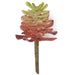 6.75"HX3"W IFR Artificial Echeveria Stem Pick -Mauve/Green (Pack of 24) - AR-161410