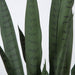 37" IFR UV-Resistant Outdoor Artificial Sansevieria Snake Plant w/Pot -Green - AUV-200125