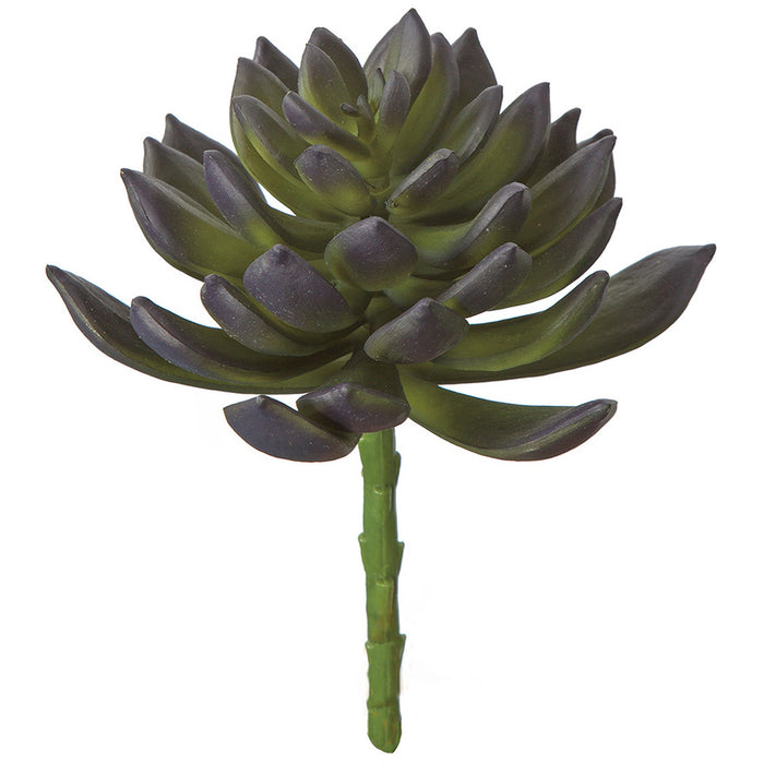 7"HX6"W IFR Artificial Echeveria Stem -Purple/Green (Pack of 12) - AR175110