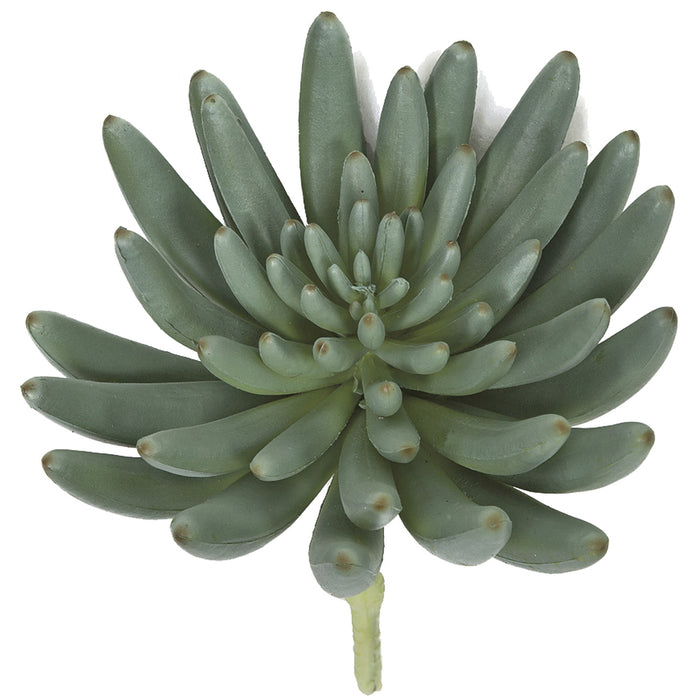 5.5"HX6"W IFR Artificial Aeonium Stem -Green/Gray (Pack of 6) - AR175150