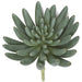 5.5"HX6"W IFR Artificial Aeonium Stem -Green/Gray (Pack of 6) - AR175150