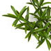 25" IFR Artificial Podocarpus Branch Stem -Green (Pack of 6) - AR-176000
