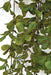 41" IFR Artificial Hanging Purlane Plant -Green/Red (Pack of 12) - AR-191345