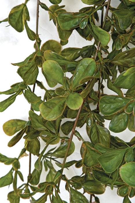 41" Artificial Hanging Purlane Plant -Green/Red (Pack of 12) - A-191345