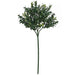 12" IFR UV-Proof Outdoor Artificial Boxwood Stem Pick -2 Tone Green (pack of 24) - AR194150