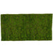 79"x39.5" IFR Foam Artificial Moss Mat -Green/Brown - AR194250