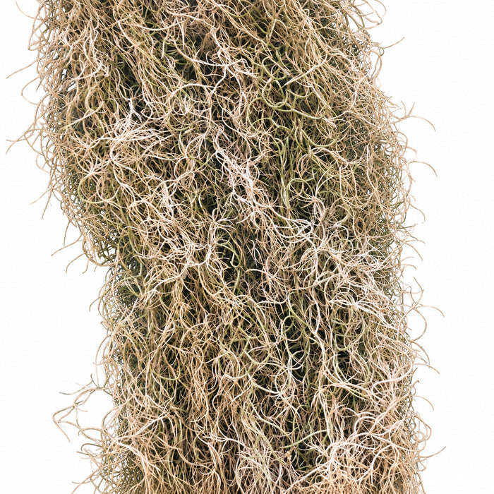 8' IFR Moss Artificial Garland -Beige/Green (Pack of 2) - AR-195810