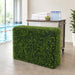 30"Hx36"W"x12"D IFR Boxwood Artificial Topiary Hedge -2 Tone Green - AR-200670