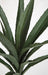 31.5" Outdoor UV-Resistant IFR Artificial Agave Plant -Green/Red (Pack of 4) - AUR-190780