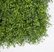 20"x20" IFR UV-Proof Outdoor Artificial Moss Wall Mat -Green (pack of 3) - AUR198175