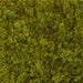 40"x40"x1.5" Outdoor UV-Resistant IFR Artificial Reindeer Moss Mat -Olive Green (Pack of 2) - AUR-240700