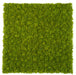40"x40"x1.5" Outdoor UV-Resistant IFR Artificial Reindeer Moss Mat -Light Green (Pack of 2) - AUR-240702