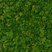 40"x40"x1.5" Outdoor UV-Resistant IFR Artificial Reindeer Moss Mat -Dark Green (Pack of 2) - AUR-240704