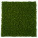 40"x40"x1.5" Outdoor UV-Resistant IFR Artificial Reindeer Moss Mat -Dark Green (Pack of 2) - AUR-240704
