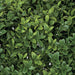 24" UV-Resistant Outdoor Artificial Boxwood Ball-Shaped Topiary w/Pot -Green - AUV102610