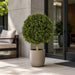 24" Outdoor UV-Resistant Artificial Boxwood Ball-Shaped Topiary w/Pot -Green - AUV102610