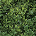 6'6" Outdoor UV-Resistant Artificial Boxwood Triple Ball-Shaped Topiary w/Pot -Green - AUV102780