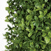 4'4" UV-Resistant Outdoor Artificial Boxwood Pyramid-Shaped Topiary -Green - AUV111390