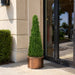 4'4" Outdoor UV-Resistant Artificial Boxwood Pyramid-Shaped Topiary -Green - AUV111390