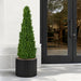 4'4" Outdoor UV-Resistant Artificial Boxwood Pyramid-Shaped Topiary -Green - AUV111390