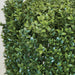 7' UV-Resistant Outdoor Artificial Boxwood Round-Shaped Topiary Tree w/Pot -Green - AUV122355