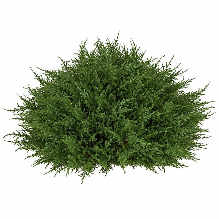 14"Hx21"W Outdoor UV-Resistant Artificial Cypress Half Ball-Shaped Artificial Topiary -Green - AUV-130200