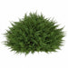 14"Hx21"W Outdoor UV-Resistant Artificial Cypress Half Ball-Shaped Artificial Topiary -Green - AUV-130200