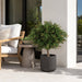 33" Outdoor UV-Resistant Artificial Wintergreen Boxwood Ball-Shaped Topiary Tree w/Pot -Green/Red - AUV145220