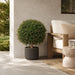 24" Outdoor UV-Resistant Artificial Wintergreen Boxwood Ball-Shaped Topiary Tree w/Pot -Green/Red - AUV146060