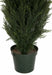 6' UV-Resistant Outdoor Artificial Cypress Cone-Shaped Topiary Tree -Green - AUV150006