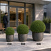 30"Hx30"W Outdoor UV-Resistant Artificial Boxwood Topiary Ball w/Pot -Green - AUV150056