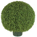 30"Hx30"W UV-Resistant Outdoor Artificial Boxwood Topiary Ball w/Pot -Green - AUV150056