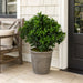 29" Outdoor UV-Resistant Artificial Sweet Bay Leaf Ball-Shaped Topiary w/Pot -Green - AUV160400