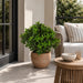 29" Outdoor UV-Resistant Artificial Sweet Bay Leaf Ball-Shaped Topiary w/Pot -Green - AUV160400