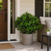 29" Outdoor UV-Resistant Artificial Sweet Bay Leaf Ball-Shaped Topiary w/Pot -Green - AUV160400