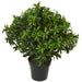 29" UV-Resistant Outdoor Artificial Sweet Bay Leaf Ball-Shaped Topiary w/Pot -Green - AUV160400