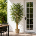 6' Outdoor UV-Resistant Artificial Bamboo Tree w/Pot -Green - AUV161810