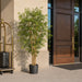 6' Outdoor UV-Resistant Artificial Bamboo Tree w/Pot -Green - AUV161810