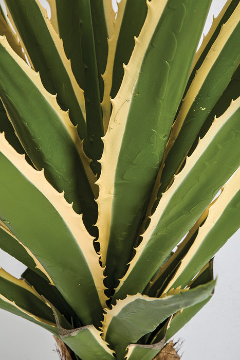 3' Outdoor UV-Resistant Artificial Agave Plant w/Pot -Green/Cream - AUV181160
