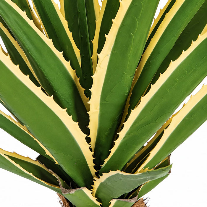 3' Outdoor UV-Resistant Artificial Agave Plant w/Pot -Green/Cream - AUV181160