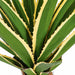 3' Outdoor UV-Resistant Artificial Agave Plant w/Pot -Green/Cream - AUV181160
